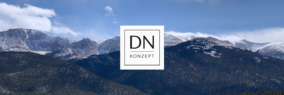 DN Konzept – Kapitalanlage Immobilien